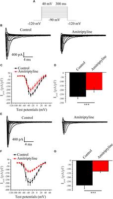 Key Role of the Membrane Trafficking of Nav1.5 Channel Protein in Antidepressant-Induced Brugada Syndrome